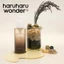 Dầu tẩy trang thuần chay HaruHaru Wonder Black Rice Moisture Deep Cleansing Oil 150ml