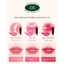 Set Son Bóng Thuần Chay Mini Blur Glowy Lip Tint 1gx3