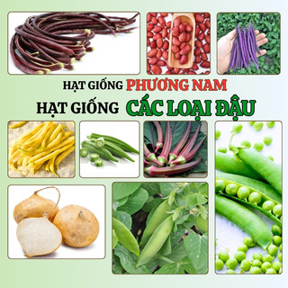 Hạt Giống Các Loại Đậu Phương Nam - Nảy Mầm Tốt - Thân Lùn -  Dây Leo - Có Thể Trồng Chậu - Hoặc Làm Giàn