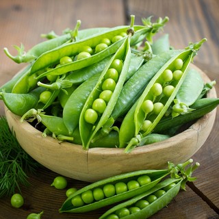 Hạt Giống Các Loại Đậu Phương Nam - Nảy Mầm Tốt - Thân Lùn -  Dây Leo - Có Thể Trồng Chậu - Hoặc Làm Giàn