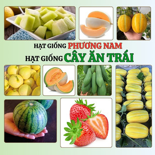 Hạt Giống Cây Ăn Trái Phương Nam - Đủ Loại - Phù Hợp Trồng Thương Phẩm