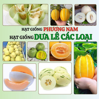 Hạt Giống Dưa Lê Các Loại Phương Nam