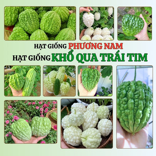 5 Hạt - Hạt Giống Khổ Qua Trái Tim F1 Phương Nam