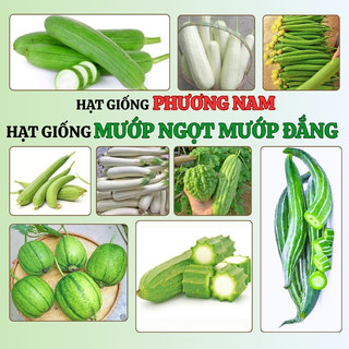 Hạt Giống Mướp Ngọt - Mướp Đắng (Khổ Qua)  Phương Nam - Nảy Mầm Tốt - Trồng Quanh Năm