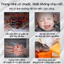 máy đuổi chuột,máy đuổi muỗi ,siêu âm diệt chuột, máy đuổi chuột thông minh,Hiệu quả cao, an toàn cho người và thú cưng