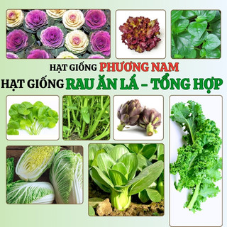 Hạt Giống Rau Ăn Lá Phương Nam - Nảy Mầm Tốt -Trồng Quanh Năm  - Nhanh Thu Hoạch