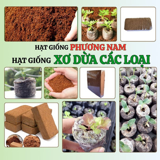 2 Kg - Mụn Xơ Dừa Trồng Cây Phương Nam - Trồng Rau Mầm, Ươm Hạt Giống, Đã Qua Xử Lý
