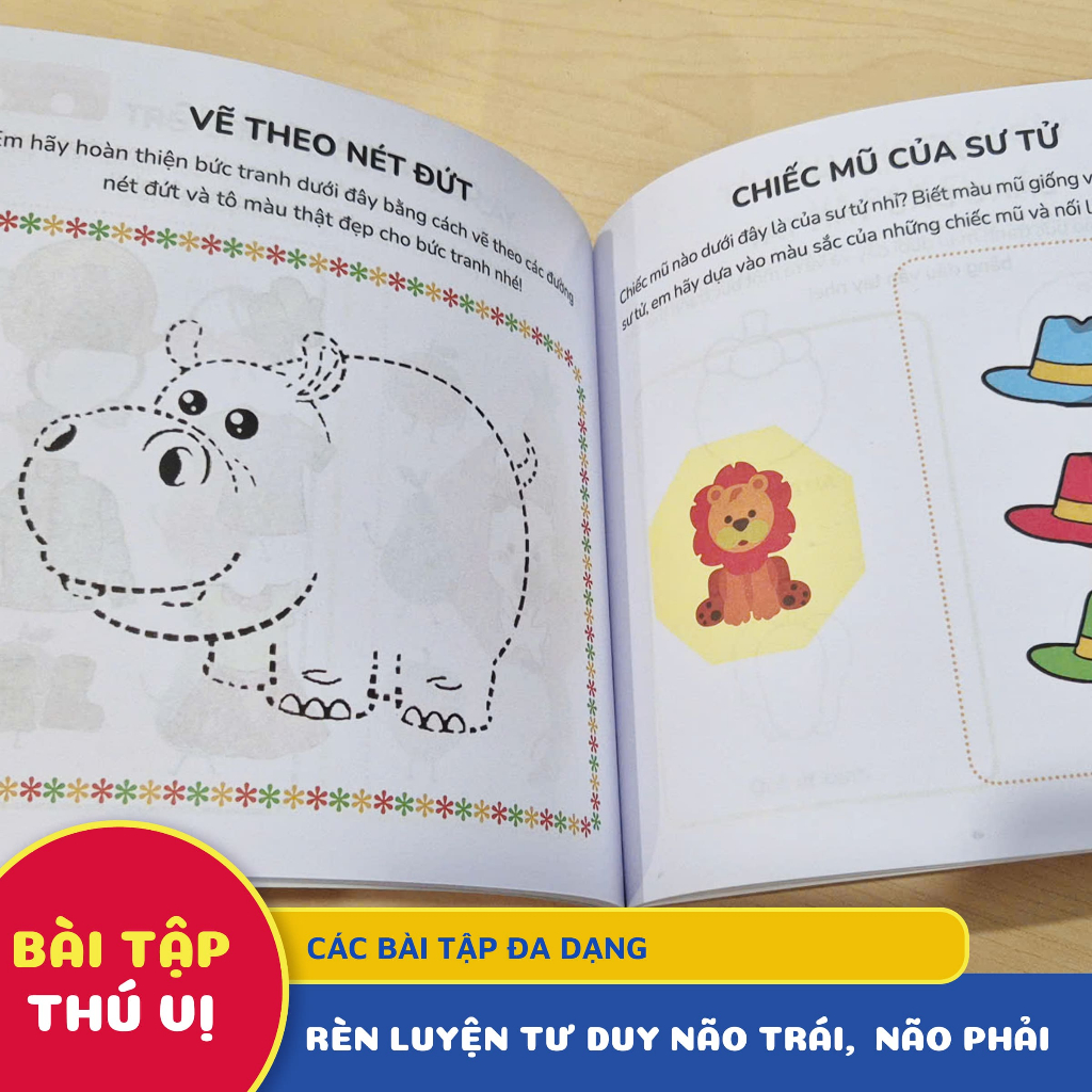 Sách - Rèn Luyện Tư Duy Não Trái, Não Phải (Trọn Bộ 3 Tập) - Tiên Phong Books