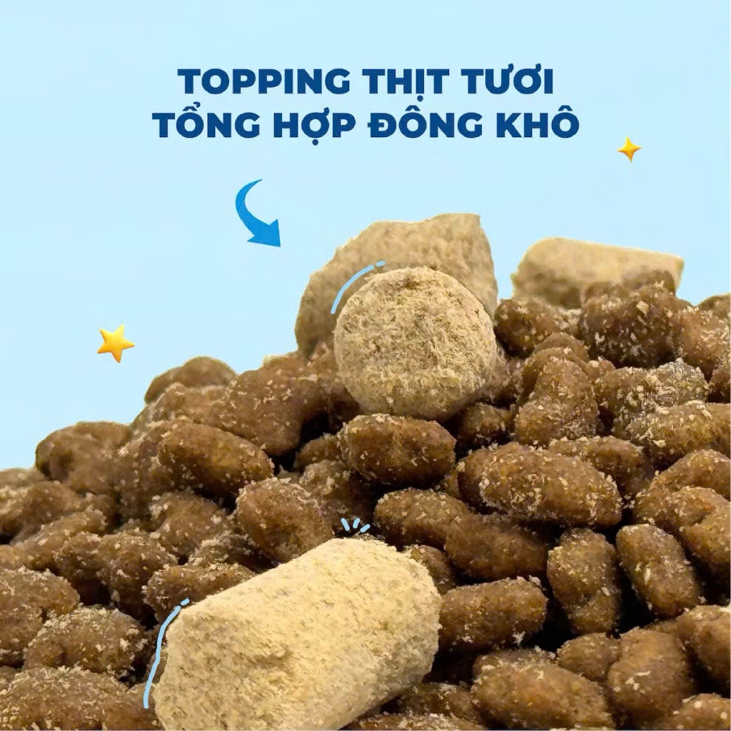 [Chính Hãng] Thức Ăn Hạt Cho Mèo MR.VET 1KG - Dòng G1 Cao Cấp GrainFree , Bảo Vệ Toàn Diện Mèo Cưng