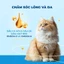 Thức Ăn Hạt Cho Mèo MR.VET 1KG - Dòng G1 Cao Cấp GrainFree , Bảo Vệ Toàn Diện Mèo Cưng