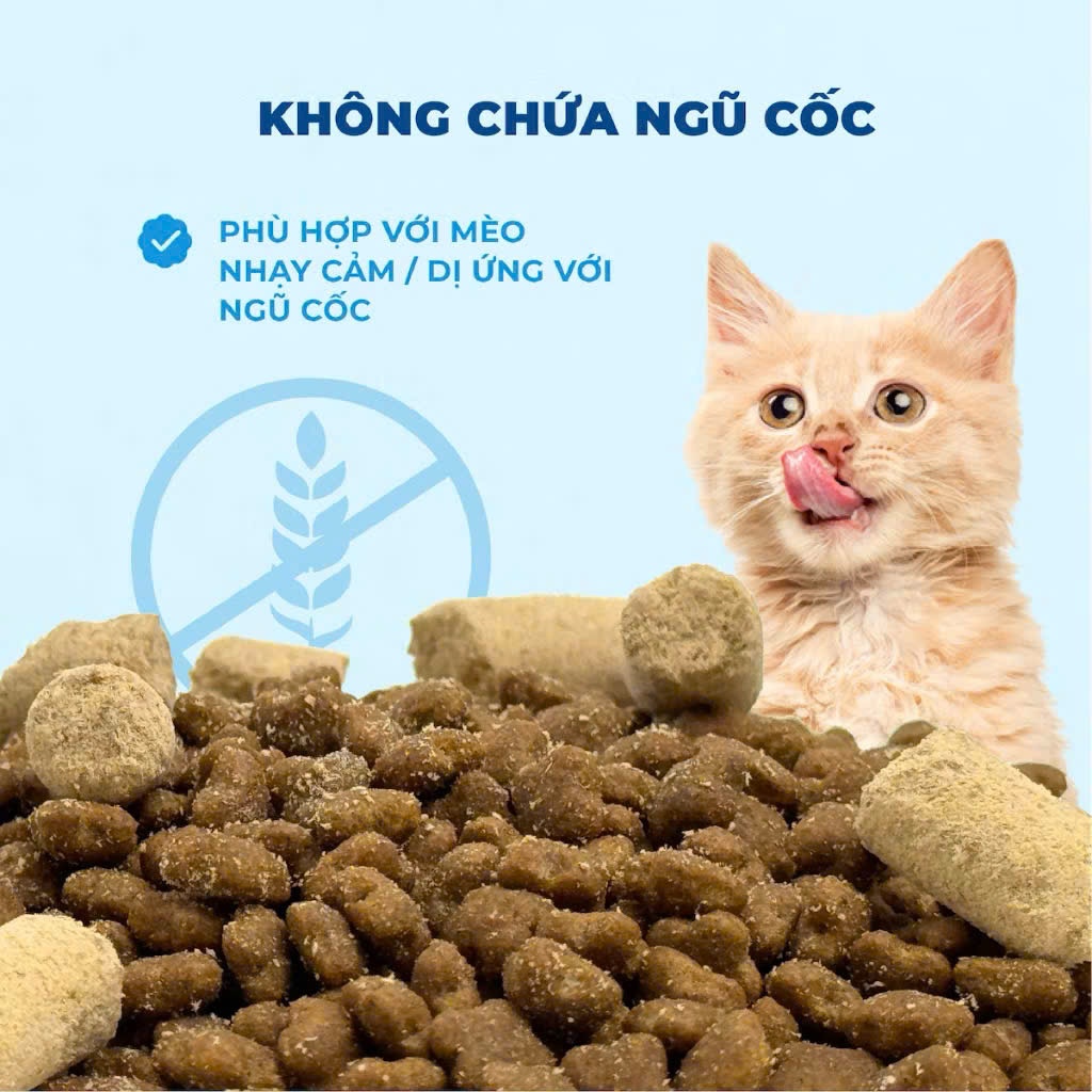 [Chính Hãng] Thức Ăn Hạt Cho Mèo MR.VET 1KG - Dòng G1 Cao Cấp GrainFree , Bảo Vệ Toàn Diện Mèo Cưng