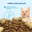 Thức Ăn Hạt Cho Mèo MR.VET 1KG - Dòng G1 Cao Cấp GrainFree , Bảo Vệ Toàn Diện Mèo Cưng
