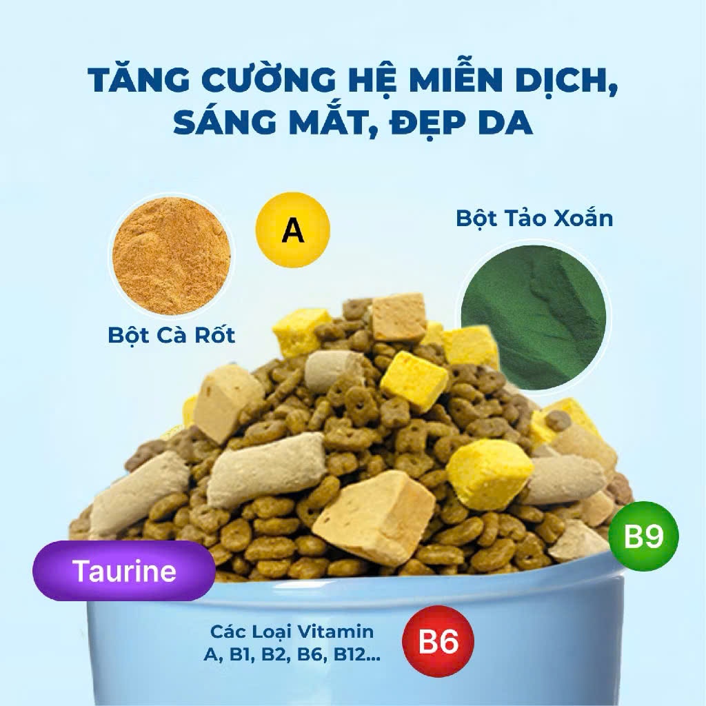 Hạt Cho Mèo MR.VET 1KG - Dòng T1,T2,T3.T4.G1 Chăm Sóc Da Và Mượt Lông , Kén Ăn , Hỗ Trợ Búi Lông