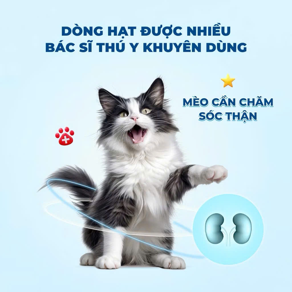 Thức Ăn Hạt Cho Mèo MR.VET T3 Kèm Sợi Thịt Gà , Hỗ Trợ Sỏi Thận Đường Tiết Niệu - Túi 1KG