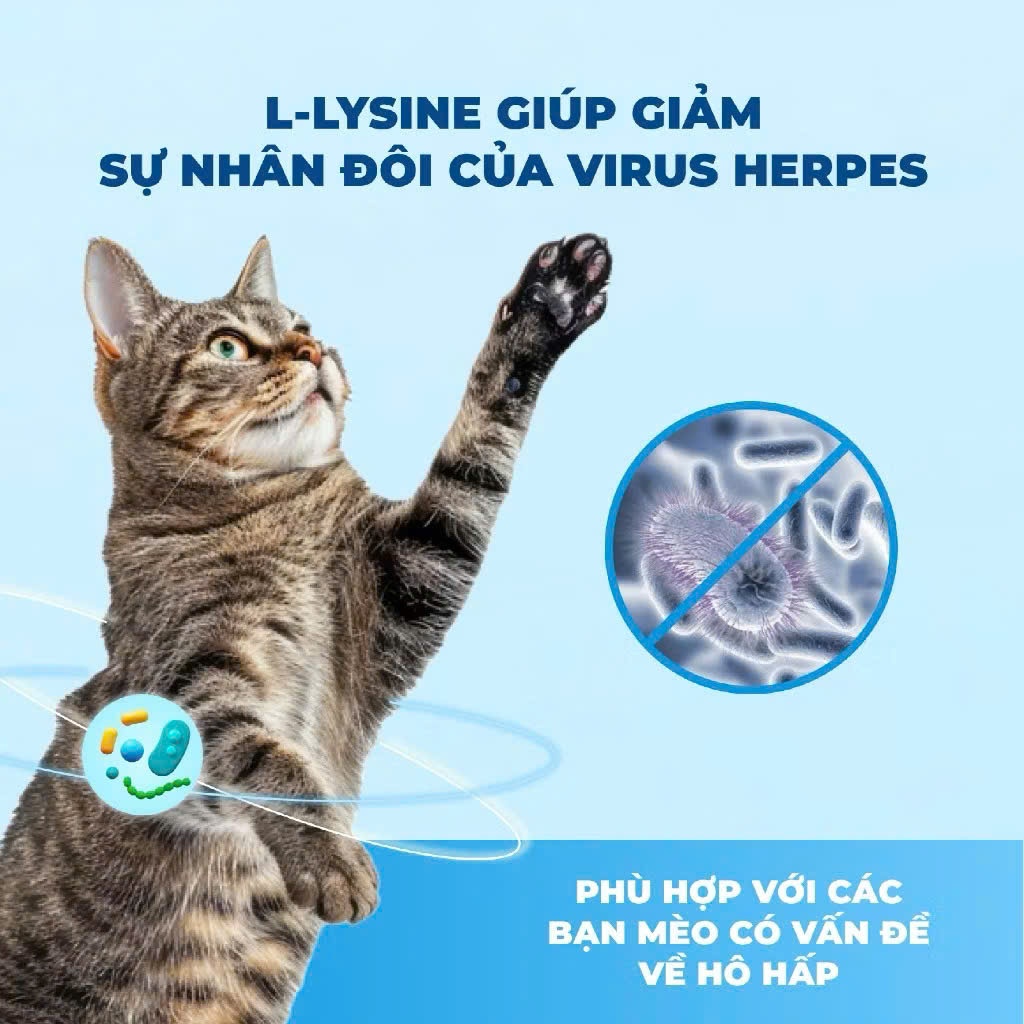 [Chính Hãng] Thức Ăn Hạt Cho Mèo MR.VET 1KG - Dòng T4 Kèm Cá Nguyên Con Giảm Hôi Phân , Mèo ít Vận Động
