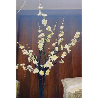 [ Tặng 10C LIXI ] Sỉ đầu bông Mai trang trí deco  tháp lễ , bánh Tết 2026