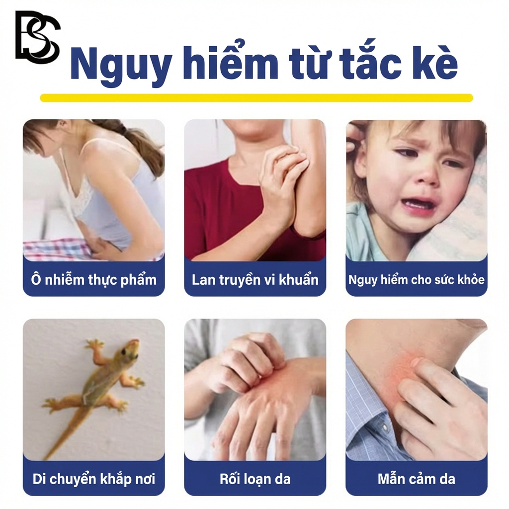 🦎Mua 1 Tặng 1🦎 Thuốc diệt thằn lằn bả diệt thằn lằn thuốc đuổi thằn lằn Mỗi hộp 24 viên / hộp