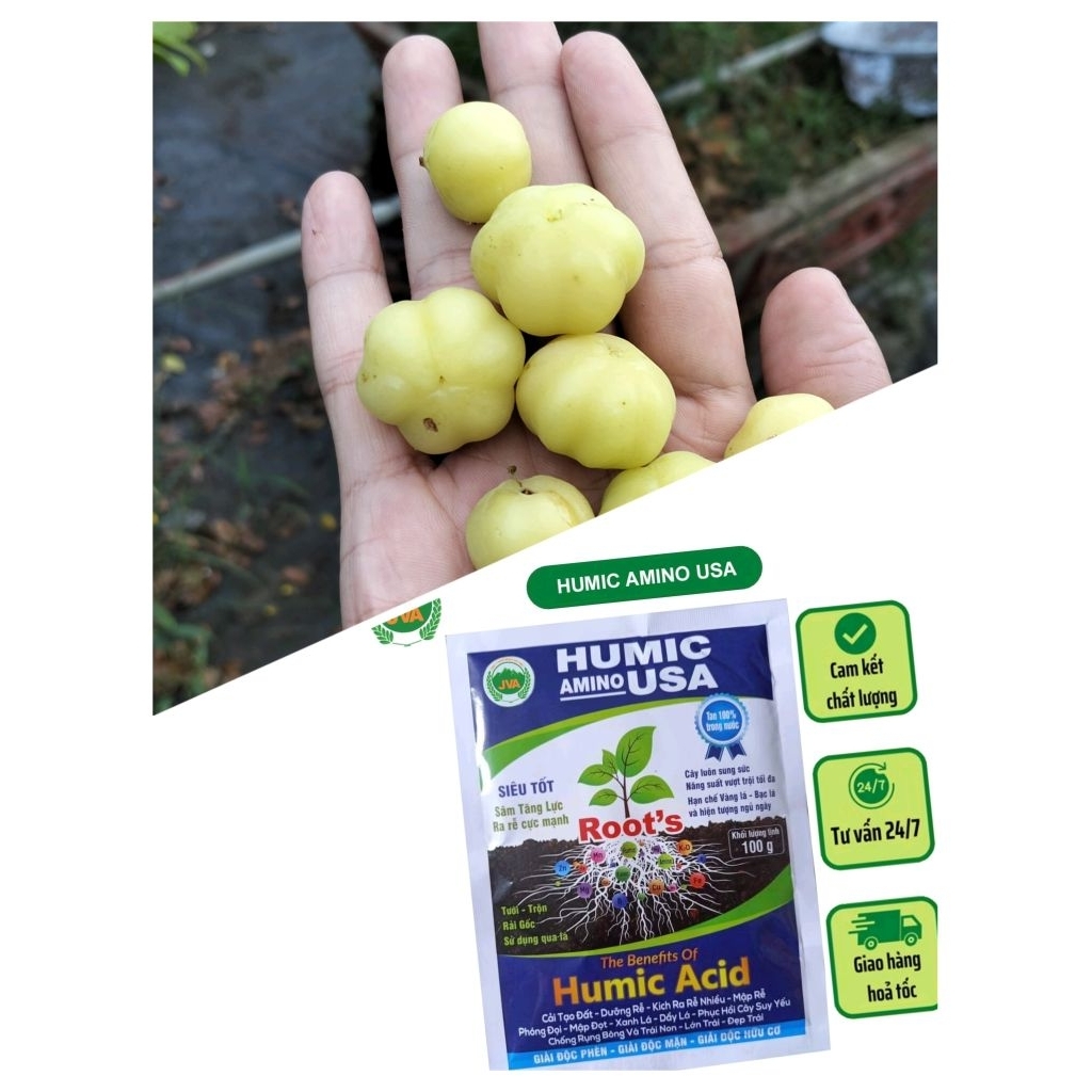 100g Phân Bón Humic A.cid Nhập Khẩu K.ích Th.ích Rễ Giải Đ.ộc Hạ Phèn, Xanh, Dày Lá