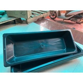 Set 5c Máng Dài Trồng Rau,Khay Chậu Trồng Hoa Chữ Nhật 59x23x10cm Loại 1,Khay Ươm Trồng Rau Mầm