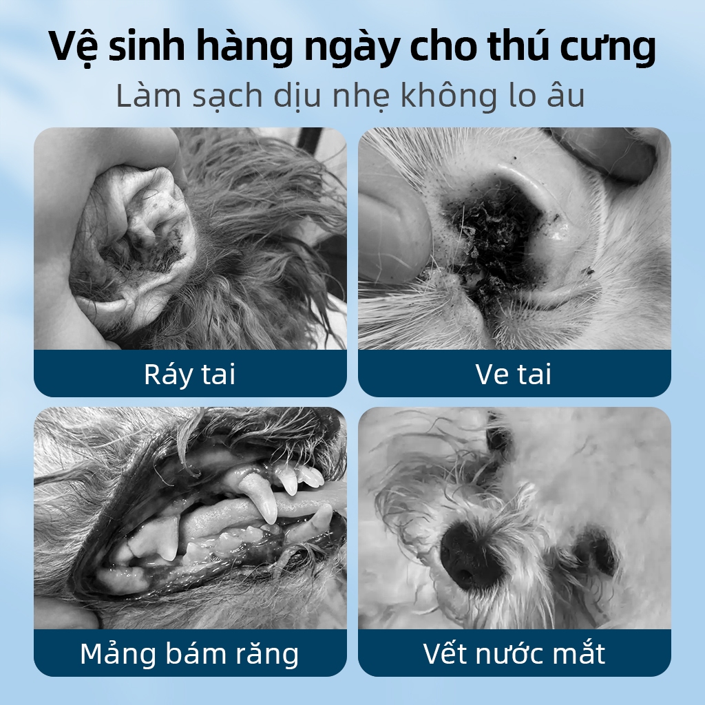⭐Paw Globe: khăn lau ngón tay cho thú cưng  để làm sạch răng tai 50 pcs