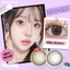 Magister Kính Áp Tròng Nils Gray 14.2MM/14.5MM màu 6 tháng kính áp tròng Nils Brown lens giãn tròng