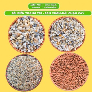 1Kg Đá Sỏi Trang Trí Bể Cá, Sỏi Trang Trí Chậu Cây, Cuội Trải Sân Vườn, Sỏi Biển, Sỏi Trắng,Lọc Nước