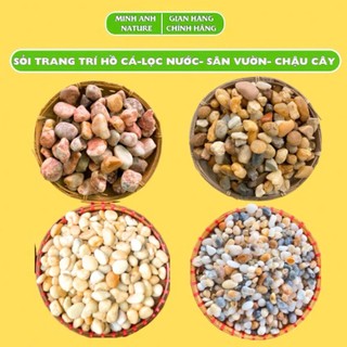 1Kg Đá Sỏi Trang Trí Bể Cá, Sỏi Trang Trí Chậu Cây, Cuội Trải Sân Vườn, Sỏi Biển, Sỏi Trắng,Lọc Nước