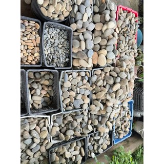 1Kg Đá Sỏi Trang Trí Bể Cá, Sỏi Trang Trí Chậu Cây, Cuội Trải Sân Vườn, Sỏi Biển, Sỏi Trắng,Lọc Nước