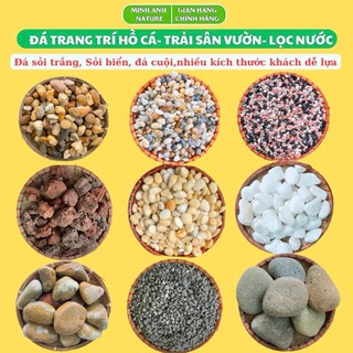 1Kg Đá Sỏi Trang Trí Bể Cá, Sỏi Trang Trí Chậu Cây, Cuội Trải Sân Vườn, Sỏi Biển, Sỏi Trắng,Lọc Nước