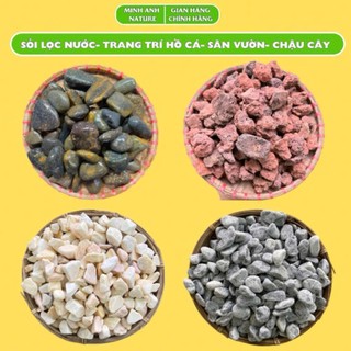 1Kg Đá Sỏi Trang Trí Bể Cá, Sỏi Trang Trí Chậu Cây, Cuội Trải Sân Vườn, Sỏi Biển, Sỏi Trắng,Lọc Nước