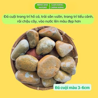 1Kg Đá Sỏi Trang Trí Bể Cá, Sỏi Trang Trí Chậu Cây, Cuội Trải Sân Vườn, Sỏi Biển, Sỏi Trắng,Lọc Nước