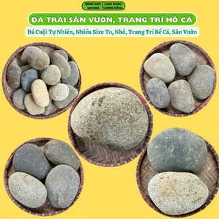 1Kg Đá Sỏi Trang Trí Bể Cá, Sỏi Trang Trí Chậu Cây, Cuội Trải Sân Vườn, Sỏi Biển, Sỏi Trắng,Lọc Nước