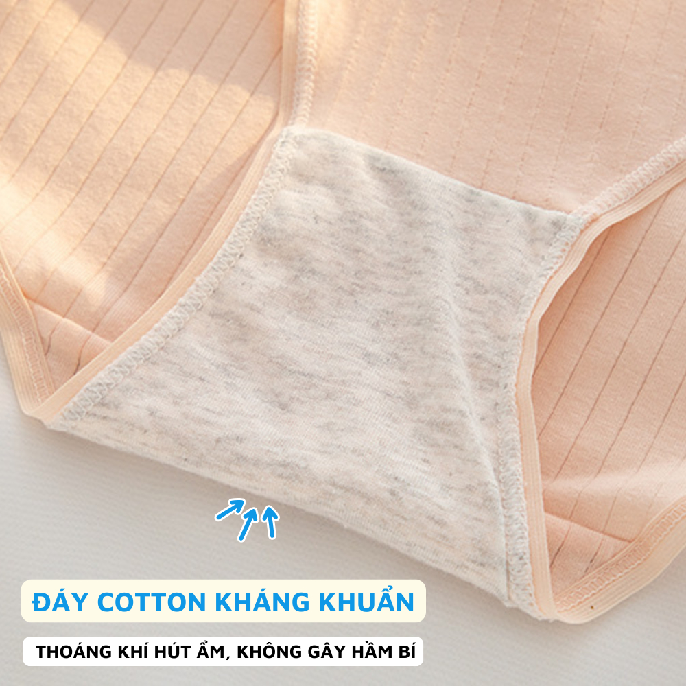 Quần Lót Nữ Cạp Vừa Gam Màu Xinh, Quần Lót Cotton Co Dãn 4 Chiều ZANABRA L0763
