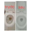 Tẩy Nhà Tắm Bồn Cầu, Vết Ố Vàng, Vết Rỉ, Rong Rêu Sàn Gạch, Sàn Đá 1000ml