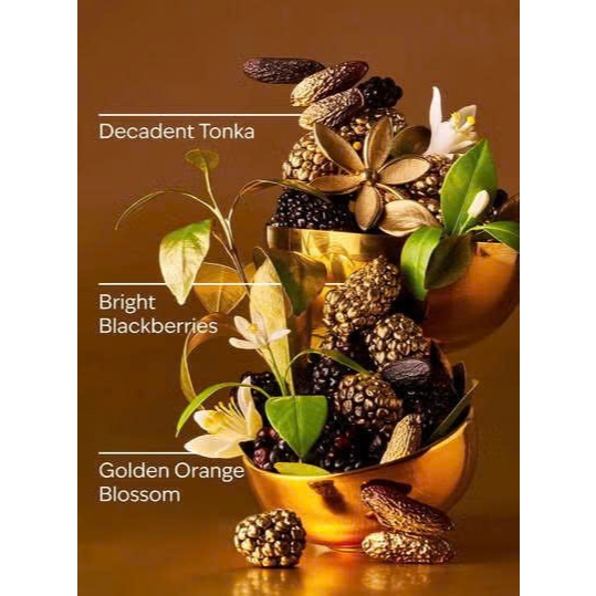 TOUCH OF GOLD | Xịt Thơm Nước Hoa Toàn Thân Bath & Body Works | BigBuy360 - bigbuy360.vn