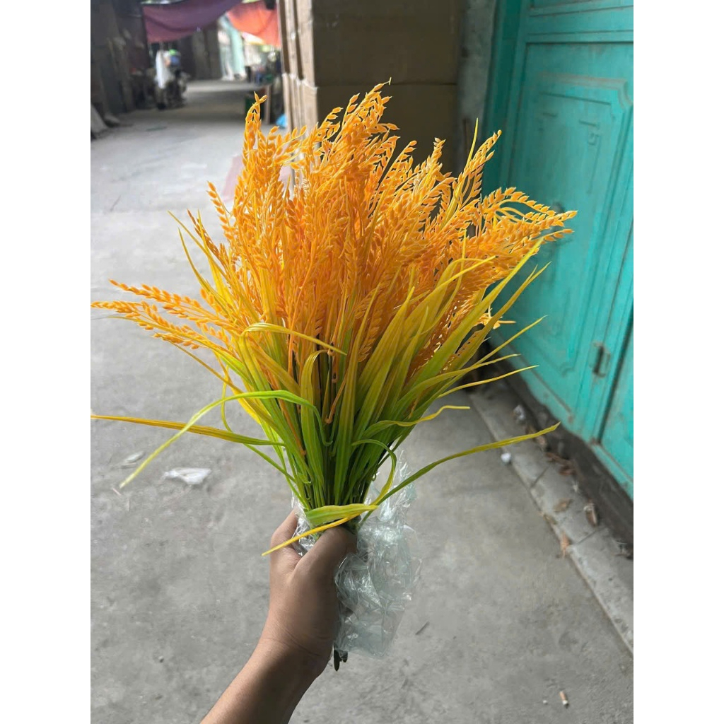 Cụm bình lúa tài lộc - Cây lúa nhựa PVC cao 42cm chín vàng trĩu bông giống thật, trang trí phòng, thần tài
