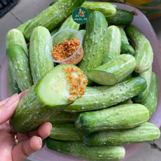 Hạt giống Dưa Chuột Nếp Ta F1 (Gói 1G~35 Hạt) Dễ Trồng, Giòn Ngọt, Rất Thơm, Năng Suất cao