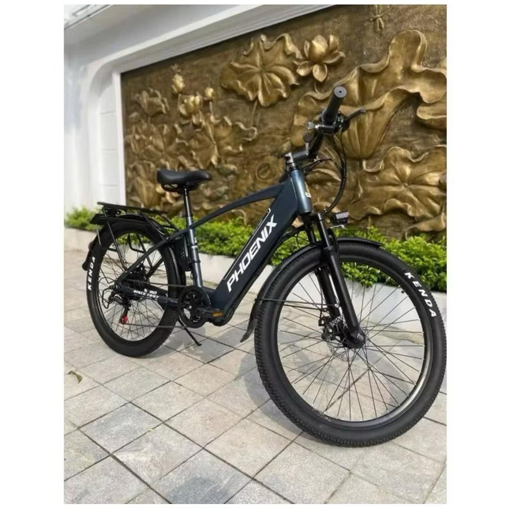 XE ĐẠP TRỢ LỰC ĐIỆN PHOENIX G2 Phượng Hoàng | Shopee Việt Nam