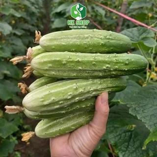 Hạt Giống Rau Củ Quả (TRỒNG MÙA HÈ) Chịu Nhiệt Tốt, Dễ Trồng, Nhanh Thu Hoạch