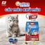 Combo 5 Cát mèo khử mùi Silver Spoon Unicharm Pet Wellness, hương cà phê/hương chanh/hương nhài 8 Lbs (3.6 kgx5)