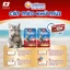 Combo 5 Cát mèo khử mùi Silver Spoon Unicharm Pet Wellness, hương cà phê/hương chanh/hương nhài 8 Lbs (3.6 kgx5)