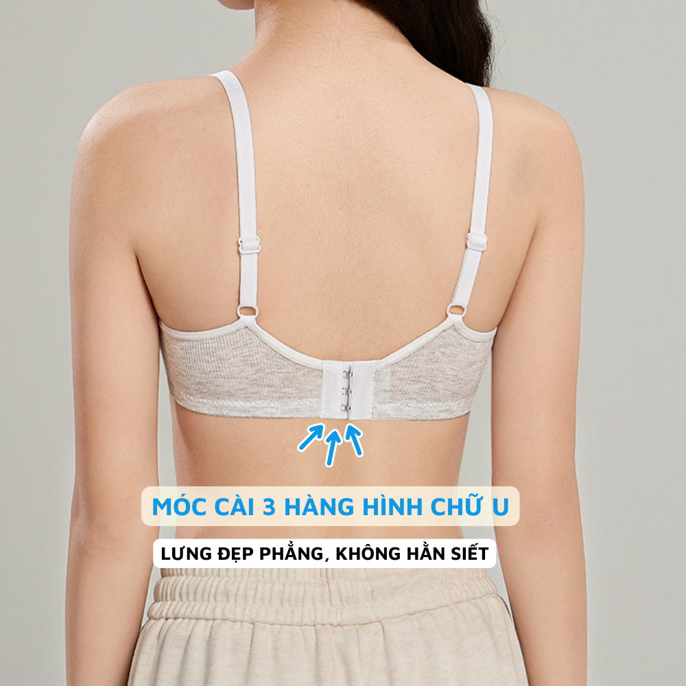 Áo ngực không gọng mút mỏng - Áo lót nữ cotton gân, mặc thoải mái 3 nấc cài ZANABRA A409