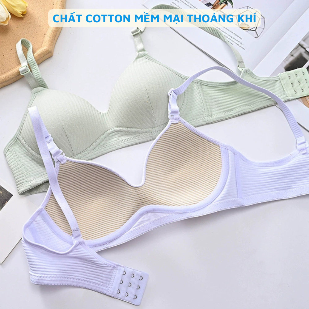 Áo ngực không gọng mút mỏng - Áo lót nữ cotton gân, mặc thoải mái 3 nấc cài ZANABRA A409