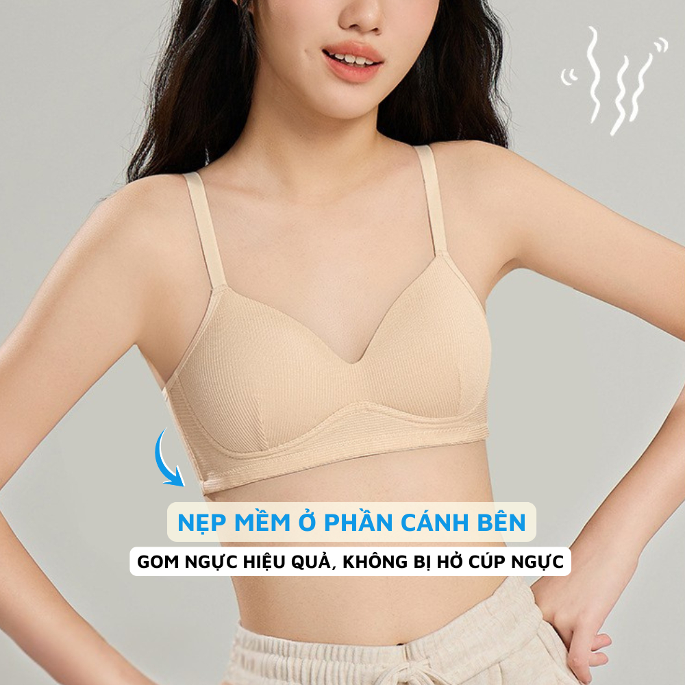Áo ngực không gọng mút mỏng - Áo lót nữ cotton gân, mặc thoải mái 3 nấc cài ZANABRA A409