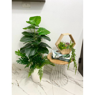 Cây trầu bà nhân tạo cao 1m. cây giả trang trí nhà cửa và nơi làm việc