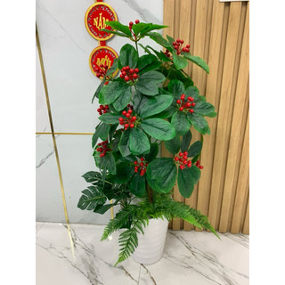 Cây trầu bà nhân tạo cao 1m. cây giả trang trí nhà cửa và nơi làm việc