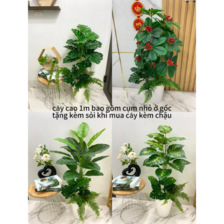 Cây trầu bà nhân tạo cao 1m. cây giả trang trí nhà cửa và nơi làm việc