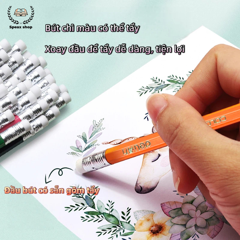 Bút Chì Màu Xóa Được Deli – 12/24/36/48 Màu, Lõi Chì Dày, Màu Tươi