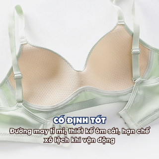 Áo Ngực Không Gọng Cup V Ôm Ngực Quyến Rũ - Áo Lót Mút Mỏng Cotton Mềm Mại Thoáng Khí AMYBRA A409