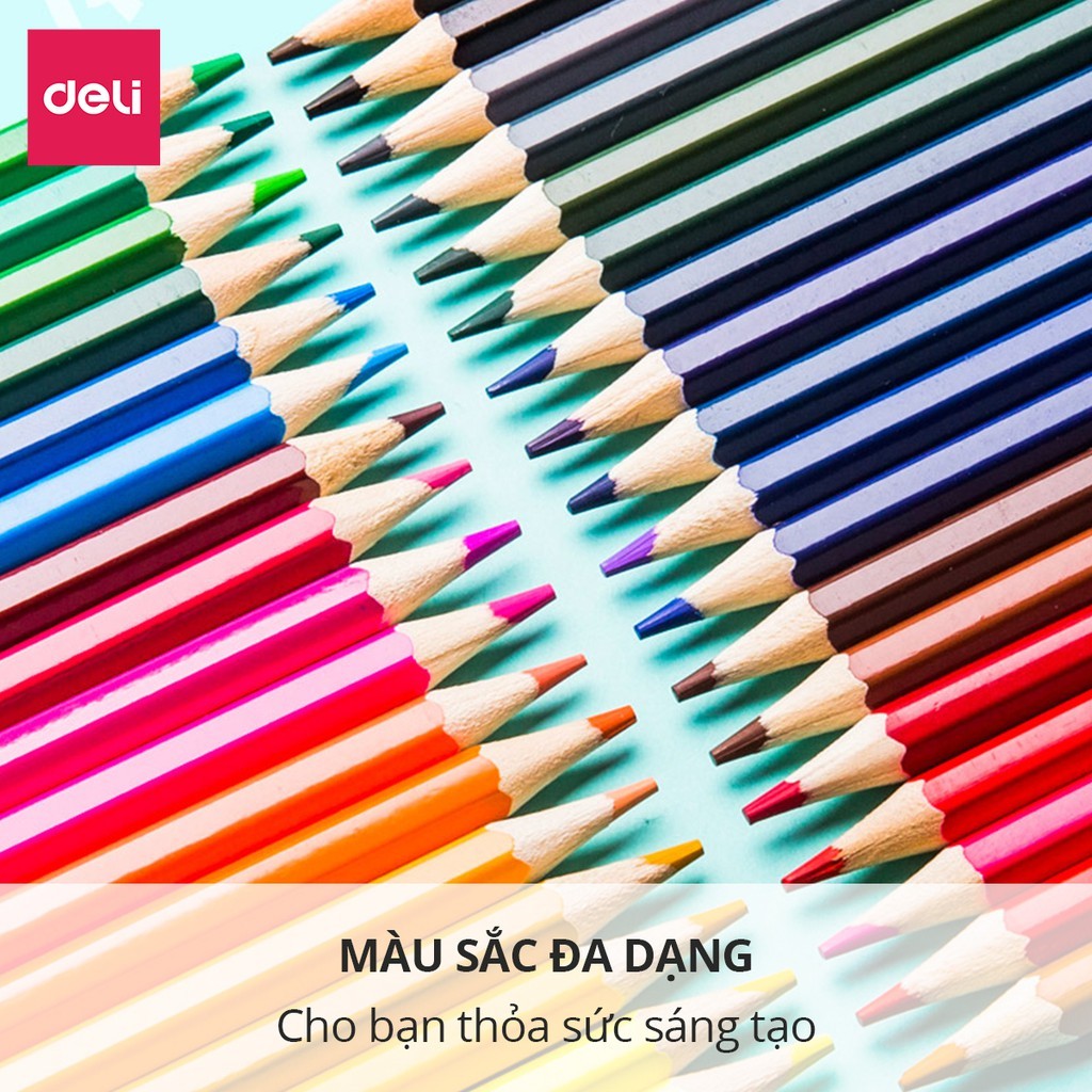 [Deli] Bút Chì Màu Gốc Dầu & Xóa Được – Bộ 12/24/36/48 Màu, Lõi Chì Dày, Màu Tươi, Tặng Gọt Bút